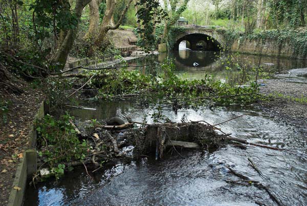 Hounslow Heath &copy; 2006, Peter Marshall