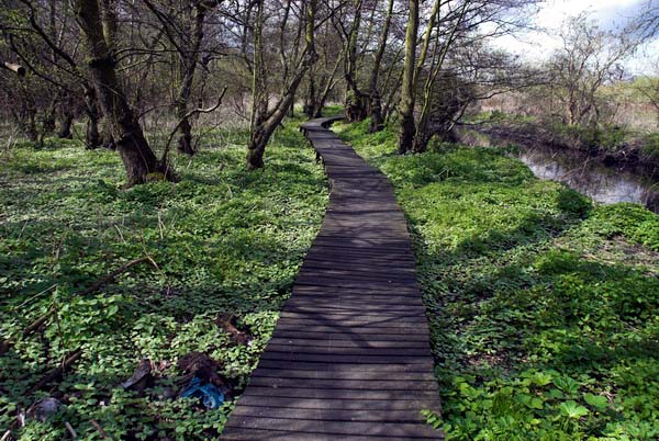 Feltham &copy; 2006, Peter Marshall